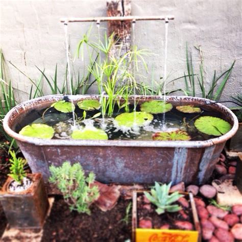 A bathtub can make an excellent addition to your backyard—as a fish pond. Old rusted tin bath, mended and turned it into a water ...