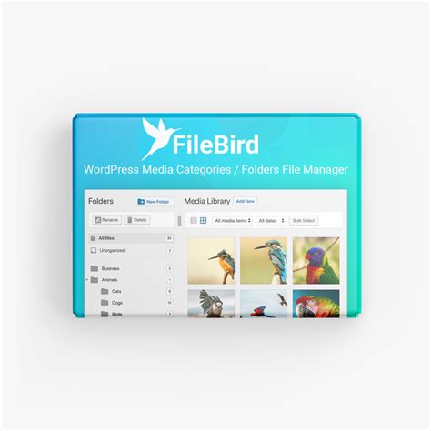 Filebird Media Library Folder Orbitapixel