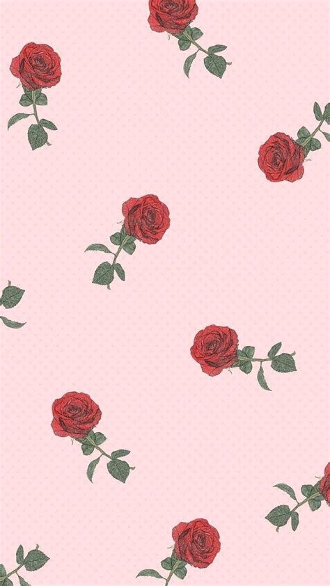 Aesthetic Rose Wallpapers Wallpaper Cave