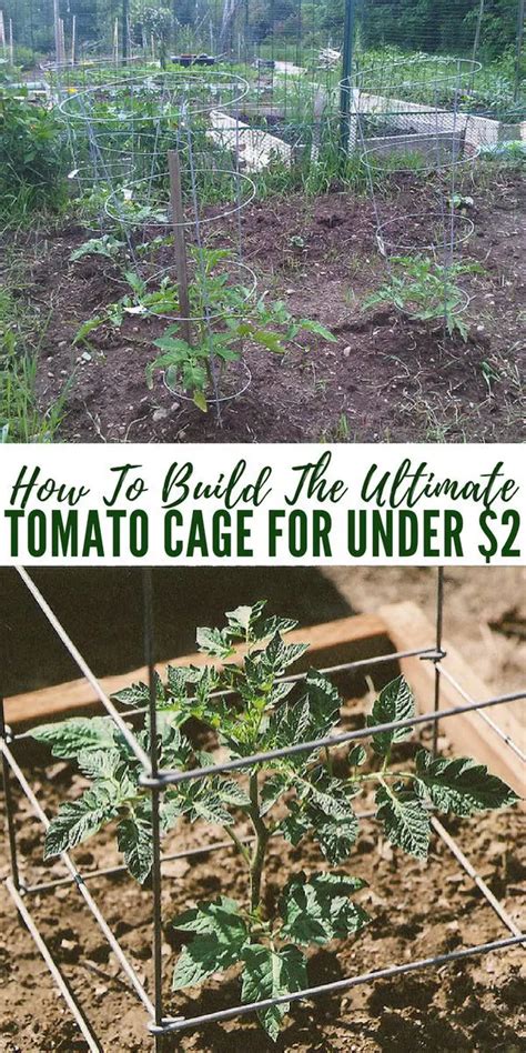 How To Build The Ultimate Tomato Cage For Under 2