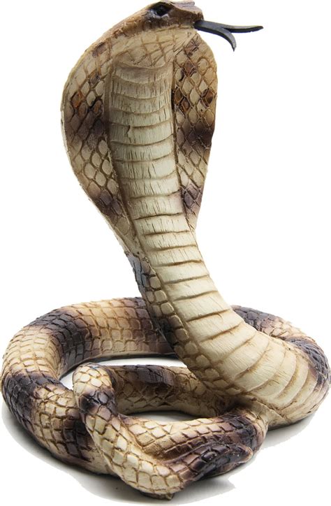 Coloriage.info te présente la plus grande sélection de coloriages pour enfants et adultes avec +21 000 coloriages à imprimer gratuitement. Coloriage Serpent Cobra à imprimer