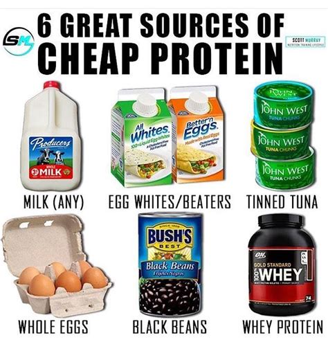 Great Sources Of Cheap Protein Cheap Protein Workout Food