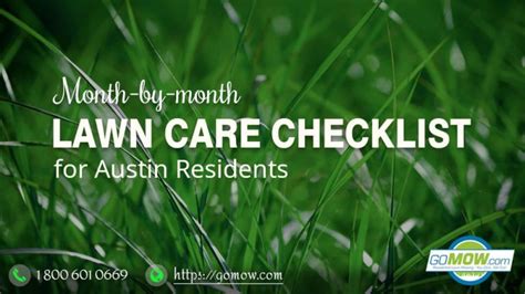 Month By Month Lawn Care Checklist For Austin Residents
