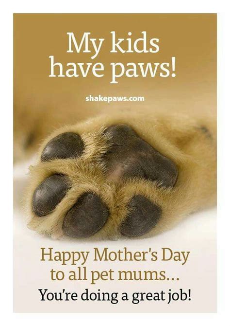 Pin By Michele Small On Furry Friends 3 Happy Mothers Dog Mothers