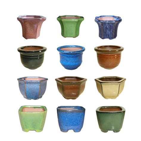 Lotus international trade (pvt) ltd, is a sri lankan company with commitment to offer the very best lotus international was founded under the vision of creating a story that cultivates strong and honest. 3″ Mame Pots Assortment - Lotus International