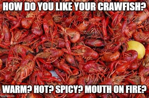 How Do You Like Your Crawfish Imgflip