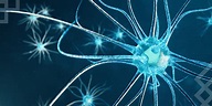 What is a nerve? - Lone Star Neurology