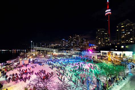 5 Things To Do In Toronto Today