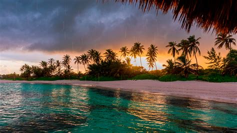 Paradise Vacation Tropical Rain Hd Background Themes10win