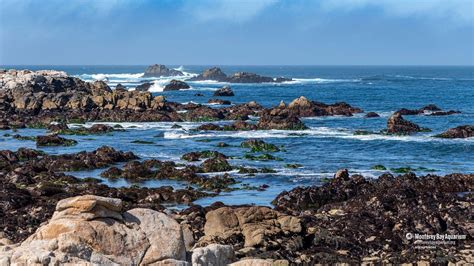 Monterey Bay Wallpapers Top Free Monterey Bay Backgrounds