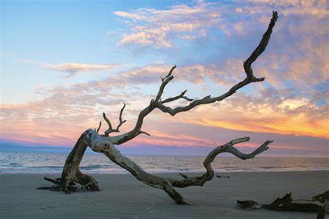 Secrets Of Jekyll Island The Storied Past Of A Golden Isle Lonely Planet