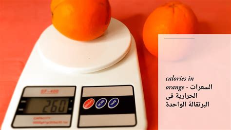 How Many Calories In An Orange 🍊 السعرات الحرارية فى حبة برتقال واحدة