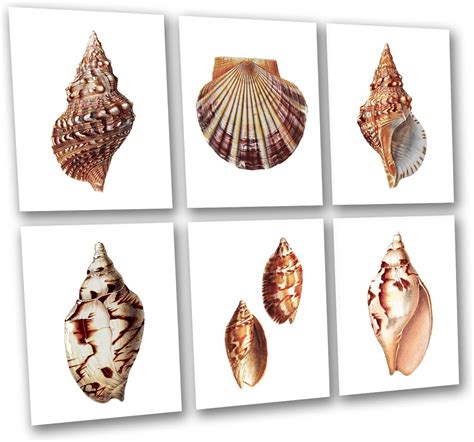 Shell Photography Ocean Wall Decor Sea Shell Printable Wave Photo Beach