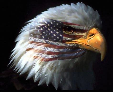 American Flag Best Flag 49 American Flag Eagle Wallpaper On