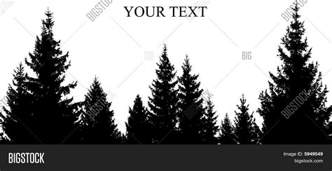 What kind of tree is a pine tree? Tree Silhouette at GetDrawings | Free download