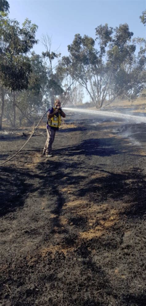 צוותי כיבוי והצלה בסיוע שישיית מטוסי כיבוי מטייסת הכבאות אלעד פעלו בשריפה ביער והגיעה עד לפאתי הכפר השוודי. דיווח פלסטיני: הרוג ו-14 פצועים בעימותים עם צה"ל בגבול ...