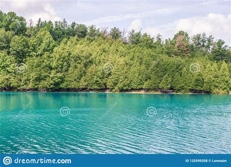 Lakeshore Scene With Pine Trees Lining The Shore And Turquoise Water