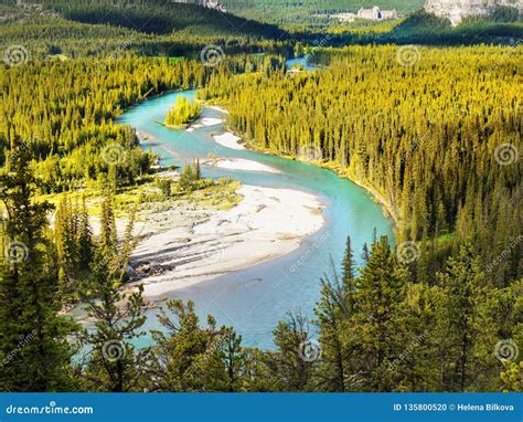 Bow River Banff National Park Alberta Canada Stock Photo Image Of