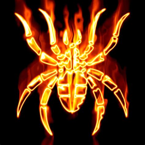 Spider Surrounded By Fire Stock Illustration Illustration Of Concept