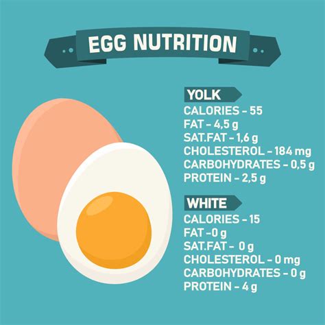 How Many Calories In An Egg Can You Eat 10 Eggs A Day