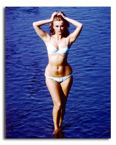 Ss2939495 Movie Picture Of Barbara Bouchet Buy Celebrity Photos And Posters At