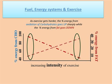 Exercises are divided into two types: PPT - Energy System responses to acute exercise PowerPoint ...