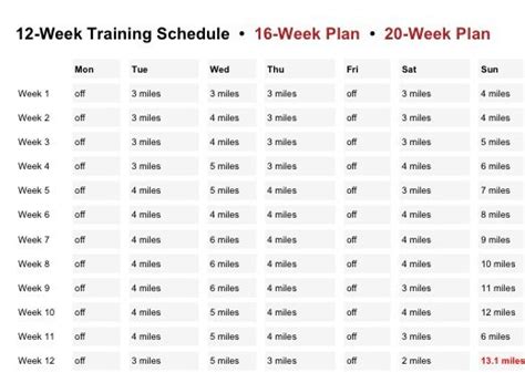 12 Week Plan