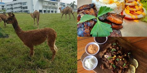 There aren't enough food, service, value or atmosphere ratings for house of kambing, malaysia yet. House Of Kambing Restaurant And Animal Farm In Serdang