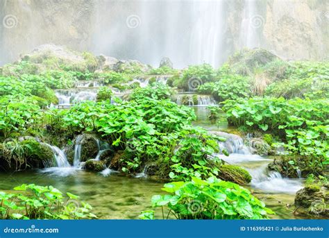 Beautiful Misty Waterfalls Stock Image Image Of Rocks 116395421