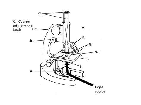 Compound Light Microscope Drawing At Explore