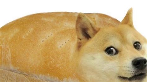 Doge As A Loaf Of Bread Youtube