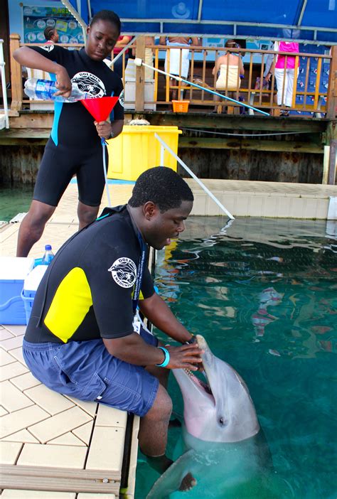 Shawn Getting Hydrated Dolphin Encounters Blue Lagoon Island Bahamas