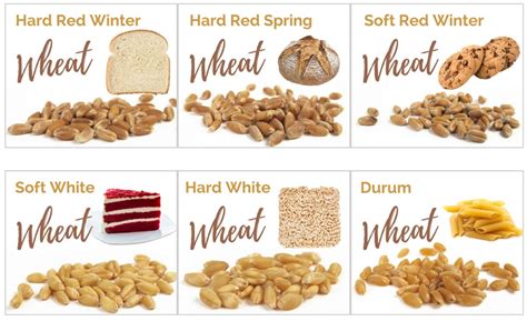 Know Your Wheat
