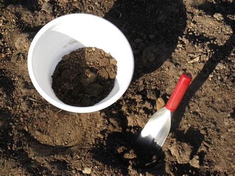 Front Range Food Gardener Soil Testing A Good Idea
