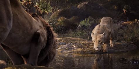 Le Roi Lion Live Action Disney + - Watch 'The Lion King' Remake Trailer Featuring Beyoncé