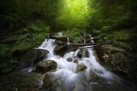 Misty Mountain River Mountain River Misty Forest Take Better Photos