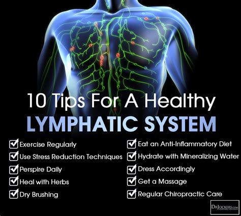 10 Ways To Improve Your Lymphatic System Healthy