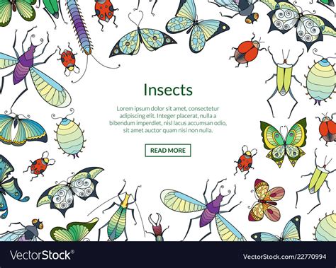 Hand Drawn Insects Background With Place Vector Image