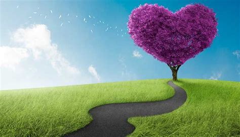 Choose The Path With The Heart Heart Tree Looking For Love Love Symbols