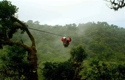 6 Costa Rica Nature Activities To Embrace Your Wild Side Ef Ultimate Break