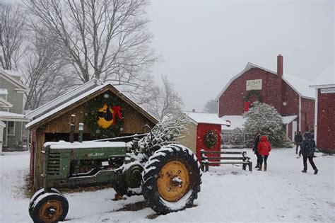 SEEN: Christmas tree shopping at Jones Family Farms