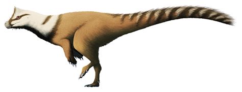 One Of The Earliest Known Dinosaurs Herrerasaurus Lived During The