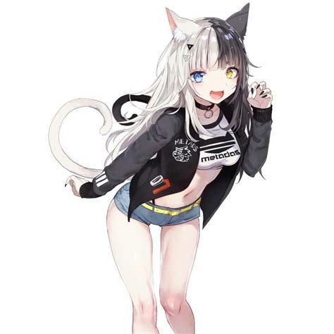 Cat Girl Anime Menina Anime Anime Neko