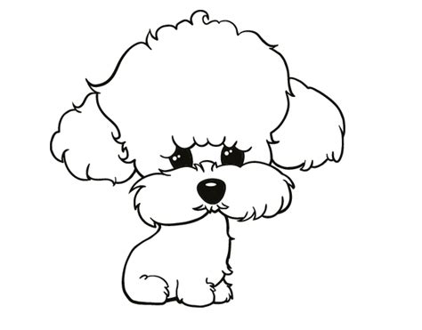 Standard Poodle Toy Poodle Puppy Poodle skirt - shih tzu dog cartoon png download - 600*470 ...