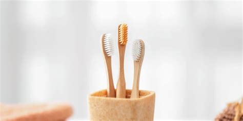 Oral Health How To Take Proper Care Of Your Toothbrush Healthnews