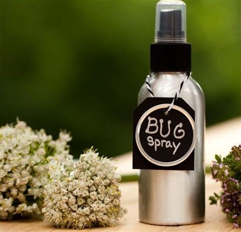 Homemade Bug Spray Homemade Sprays And Homemade Bug Spray