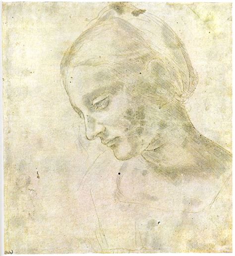 Study Of A Woman S Head C 1490 Leonardo Da Vinci