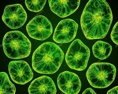 Life Under The Microscope Of Cells — Stock Photo © Ocean Fo