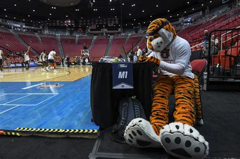 Aubie The Tiger Beats Another Sec Mascot To Become Most Decorated