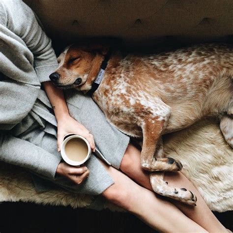What More Could You Need But Coffee And Your Best Friend With Images